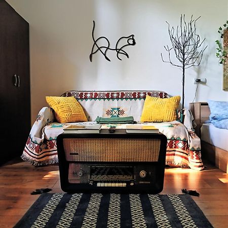 Small Apartment - Historic House 클루지나포카 외부 사진